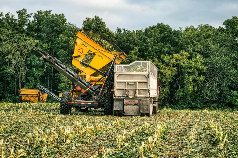 there is a dump truck in a grassy field