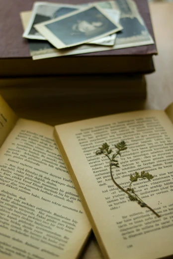 the two books are open and have flowers on them