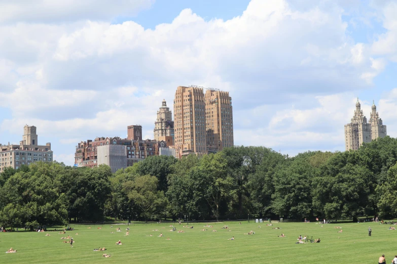 sheep graze in the middle of a large grassy field