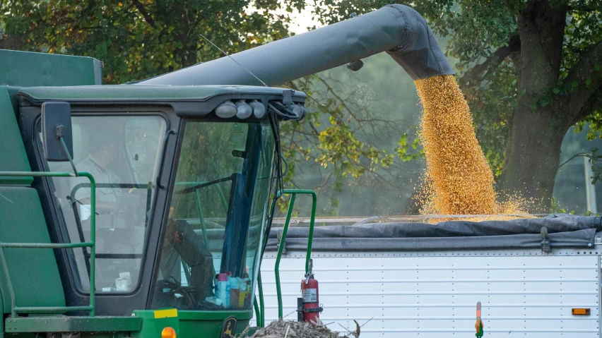 a harvest truck harvesting a field full of wheat