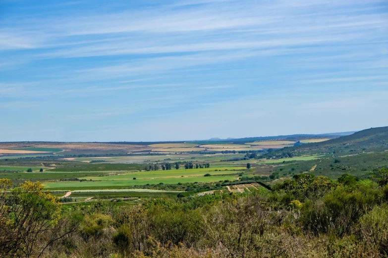 a lush green hillside with trees and fields on either side