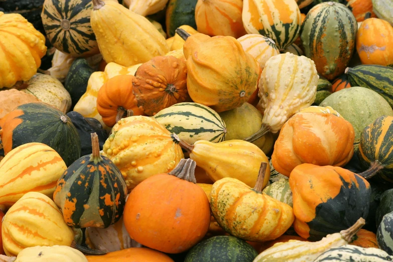 a group of gourds with many colors on them