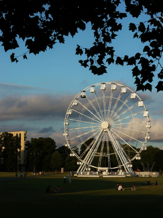 a ferris wheel sitting on top of a green field