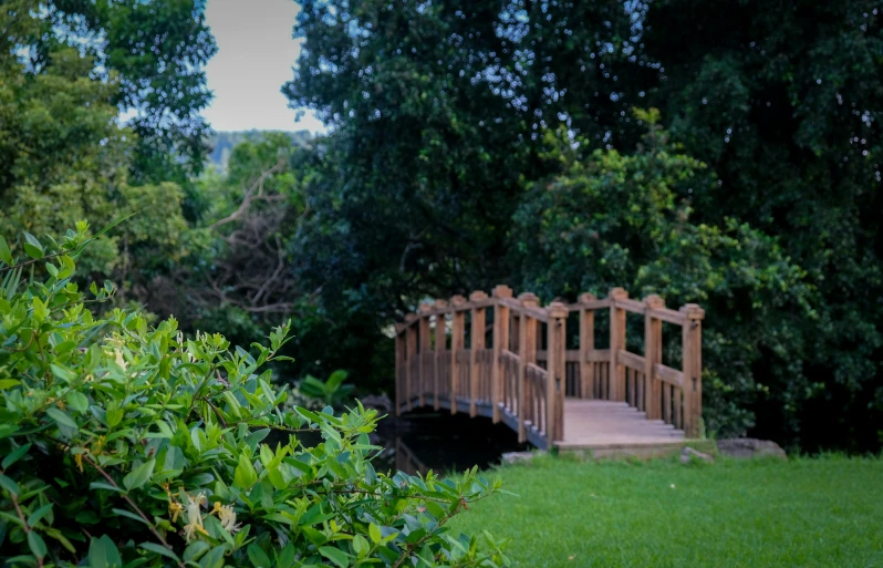 wooden bridge with railing and steps near trees