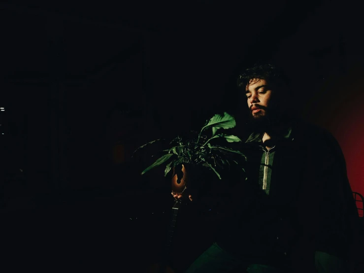 a man holding a plant in his hand