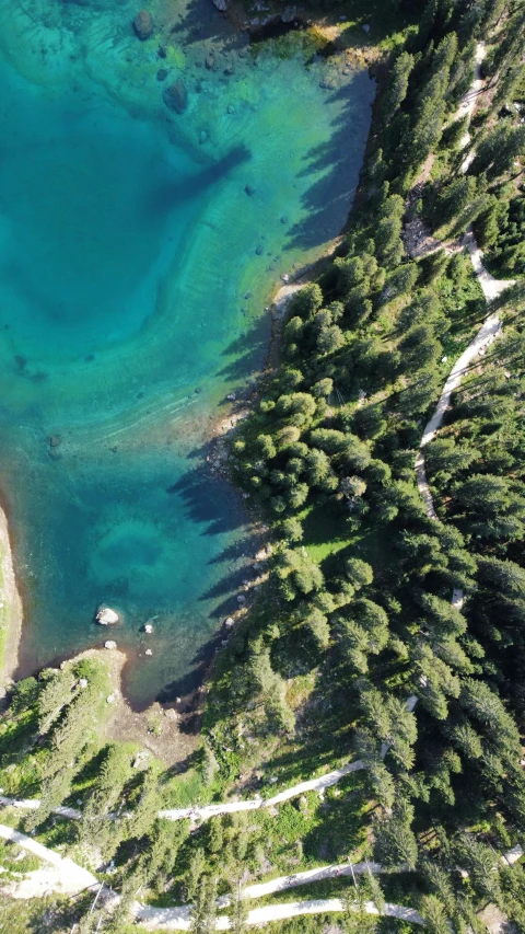 clear, green and crystal blue water surrounded by trees