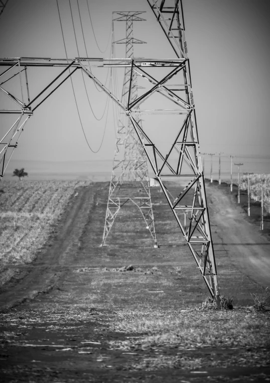 black and white pograph of electricity towers and fields
