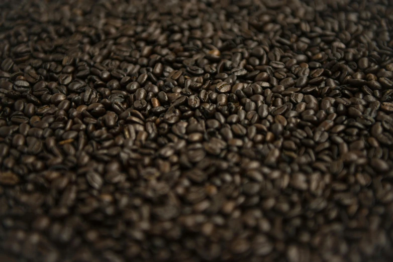 a close up view of ground coffee seeds