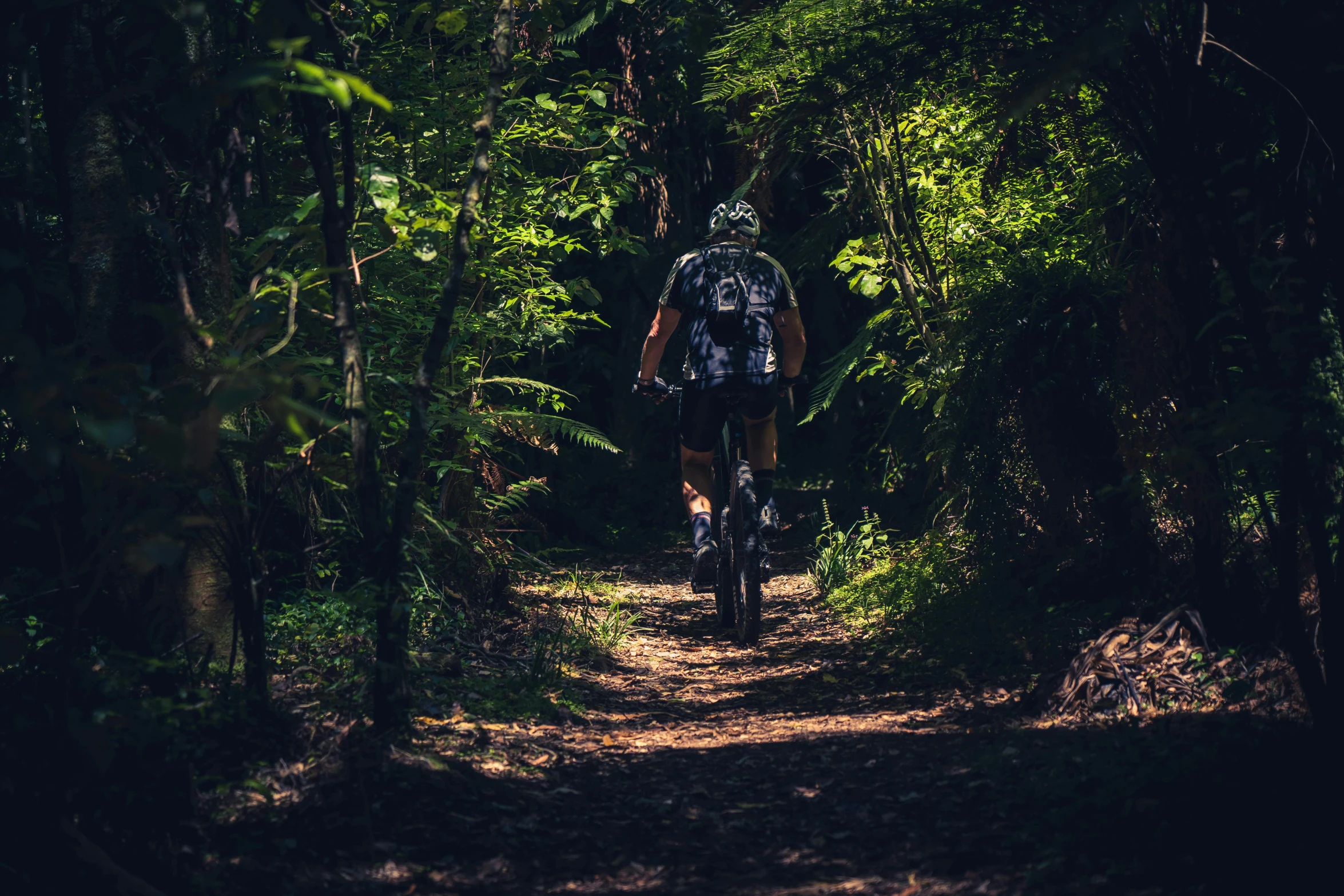 the man is riding his mountain bike down a small path