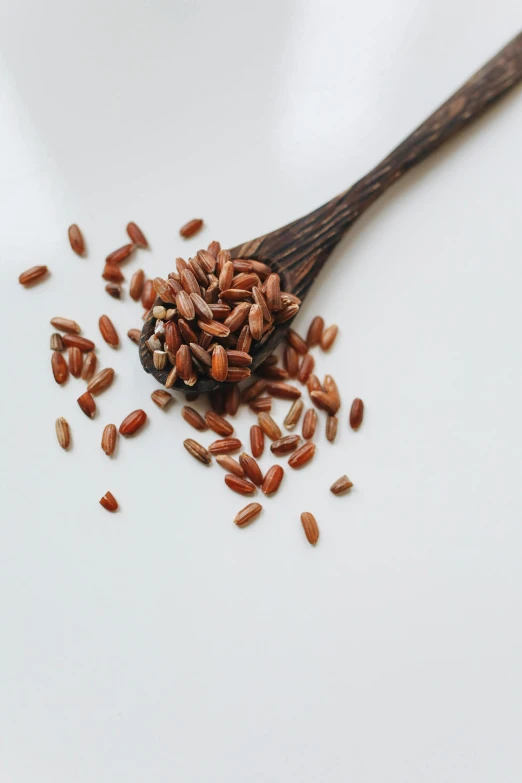 a scoop full of flax seeds with a wooden spoon full of them