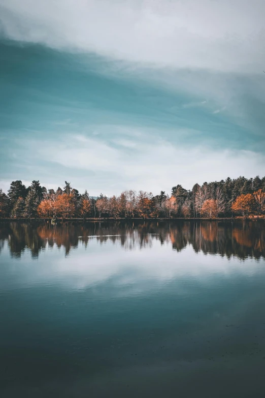 many trees are around a lake with no leaves