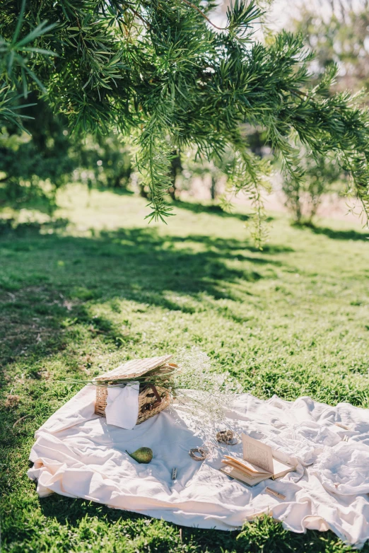 picnic blanket and food laying out on the ground