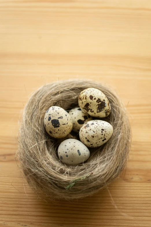 a nest with five birds eggs in it