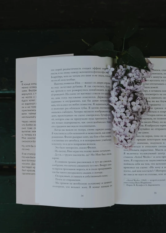 an open book has flowers growing from it