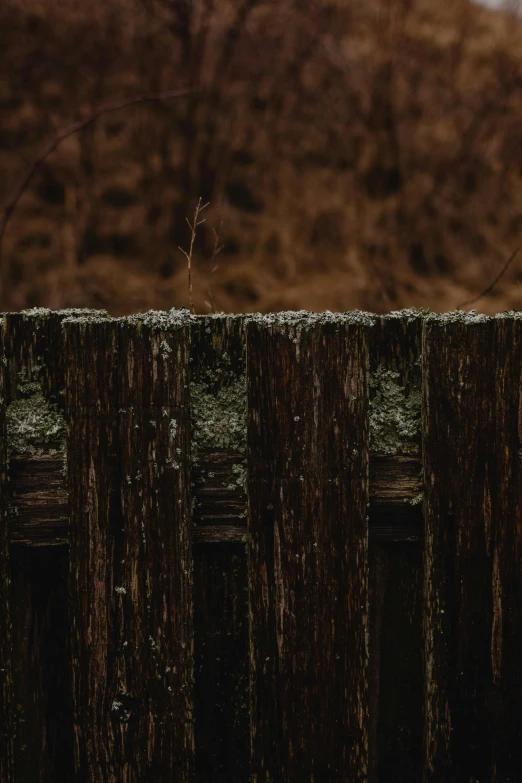 a brown wooden fence in the winter