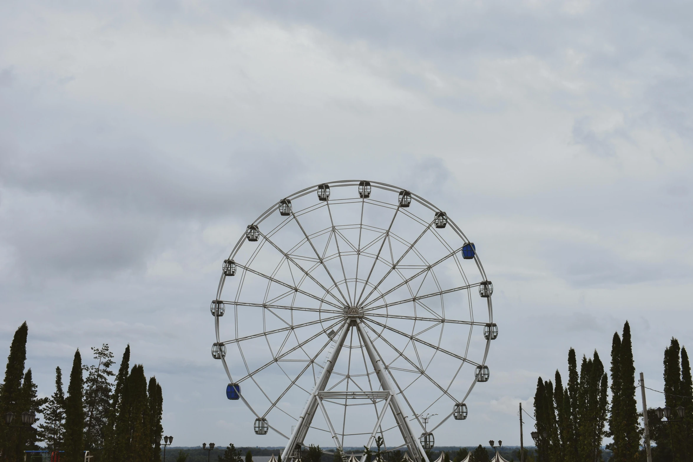 a large ferris wheel that is sitting in the grass