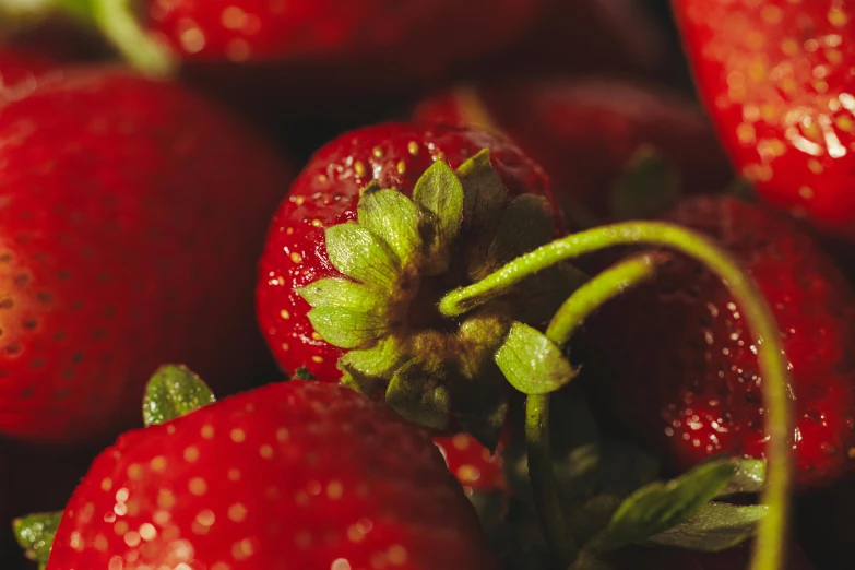 close up of several red strawberries with a green tip