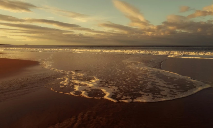 a view of a beach from the water and sand