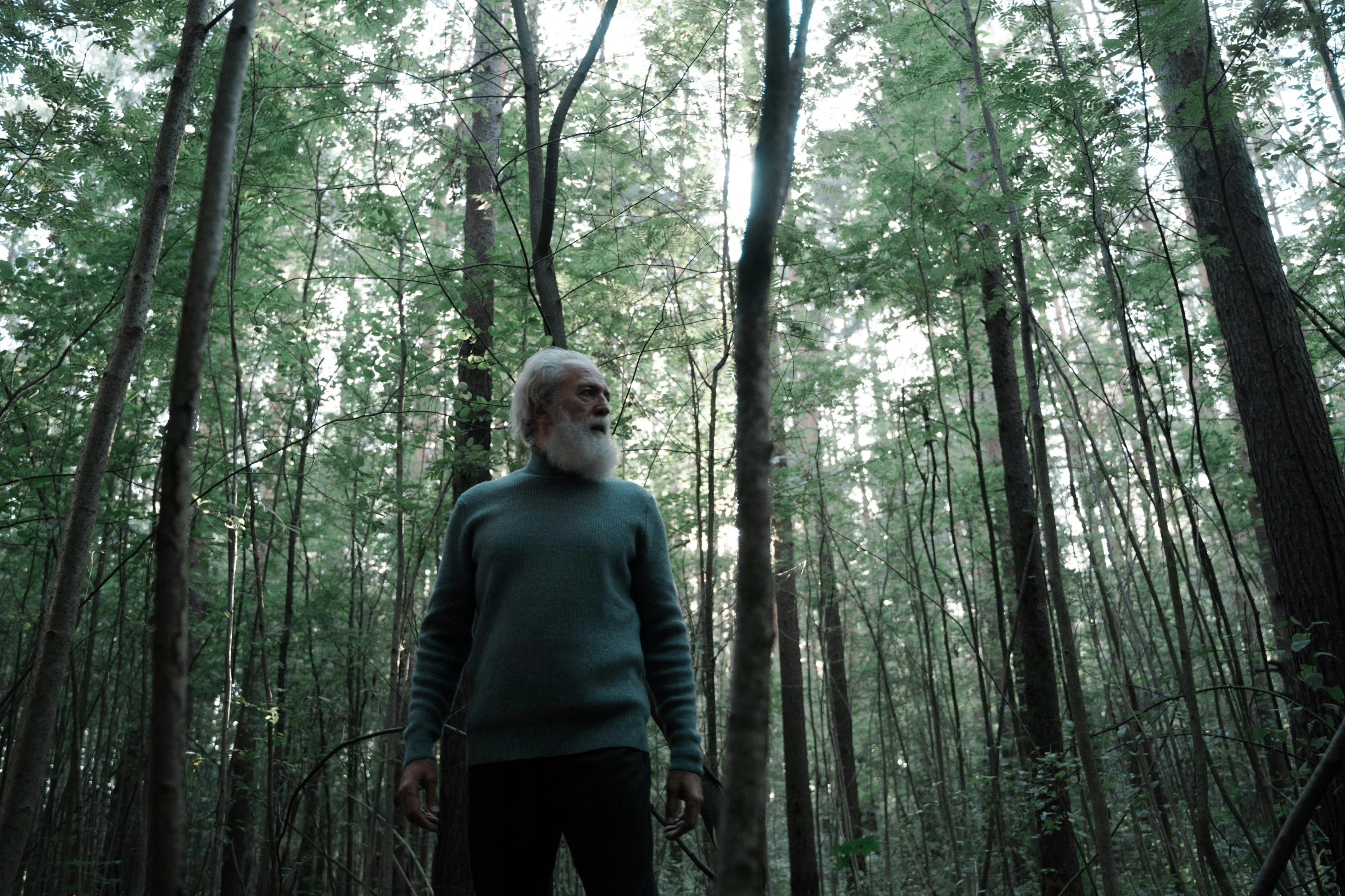 a bearded old man standing in a forest with no leaves on the ground