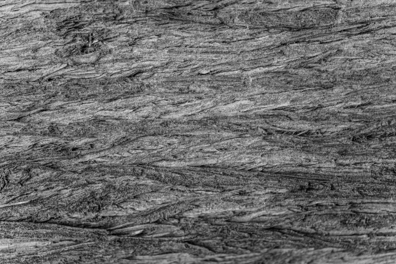 an artistic background texture of gray stones