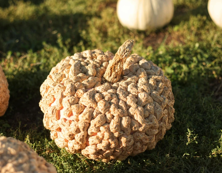 a ball shaped fruit sitting on top of the grass