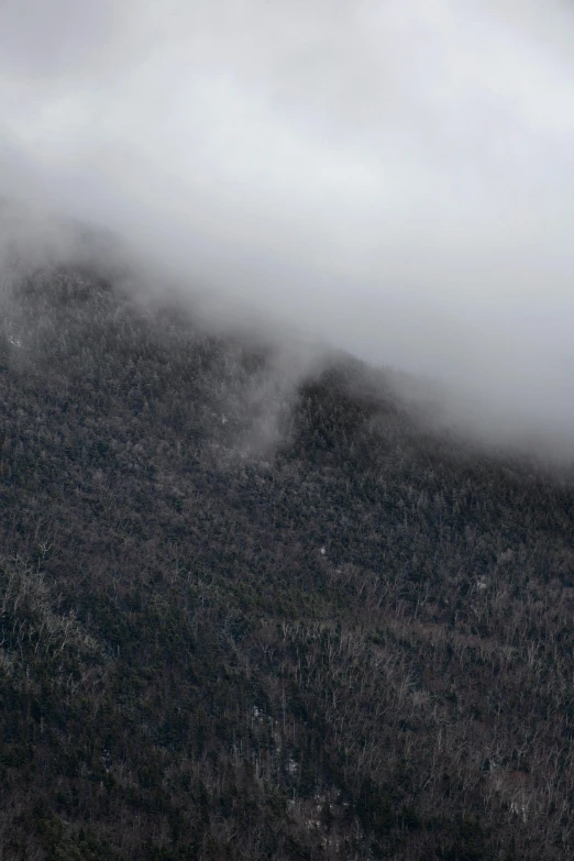 the tree line of some mountain on a cloudy day