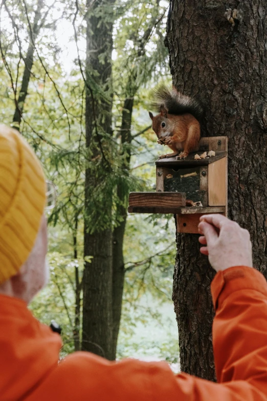 someone holding a camera taking a picture of squirrels in the trees