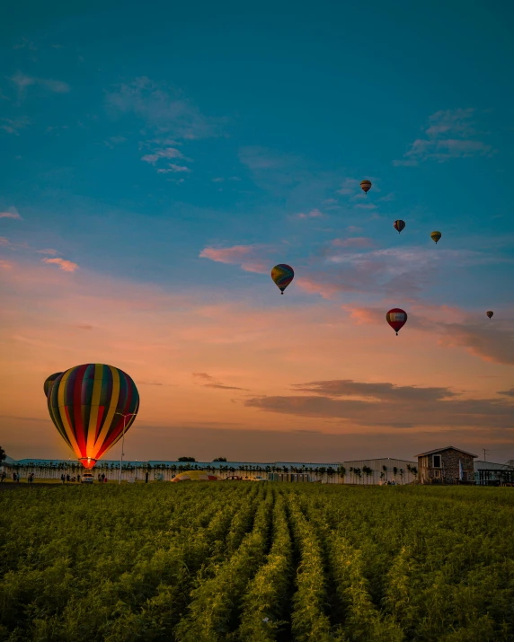 some  air balloons flying in the air over a field