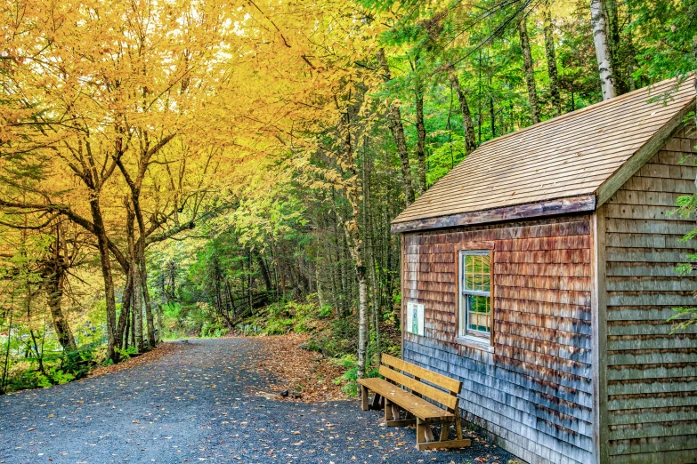 a tiny house in the woods by itself