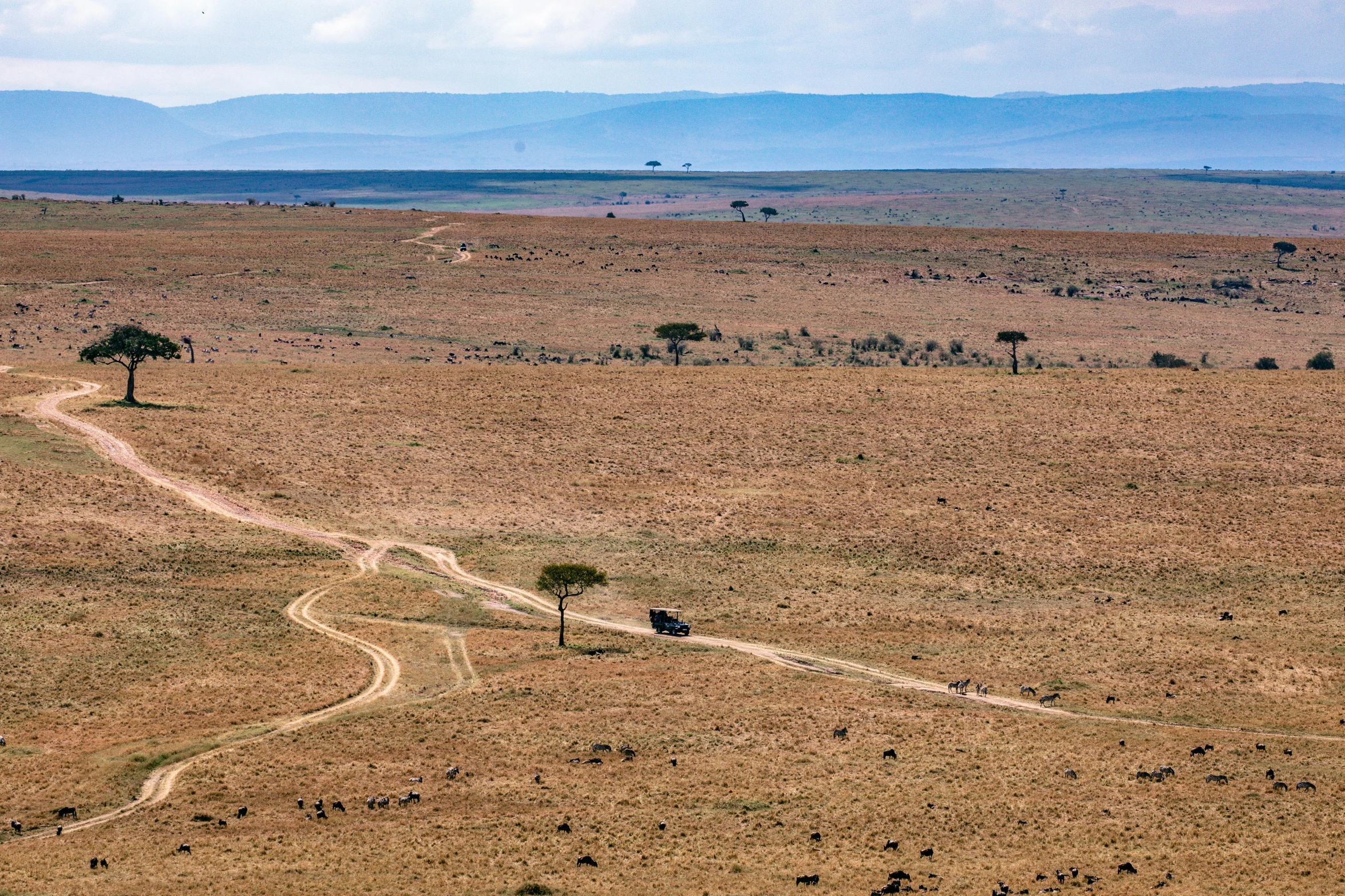 the dirt road is going through a large open field