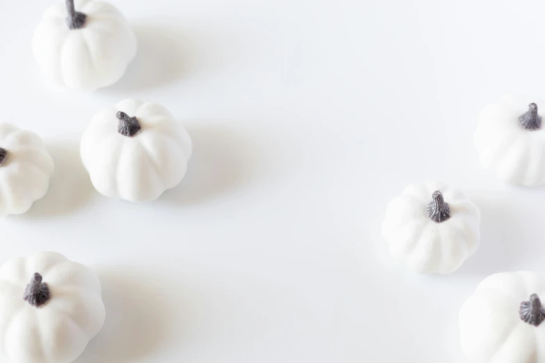 small white decorative pumpkins placed on a plain surface