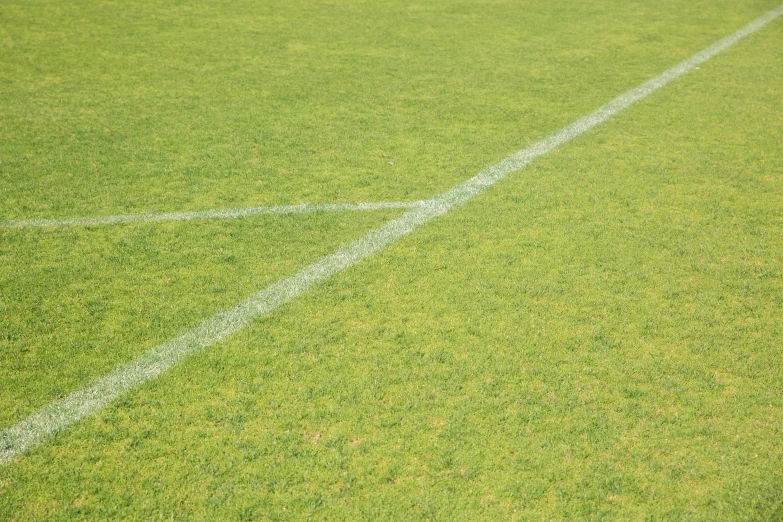 the grass tennis court has white lines on it