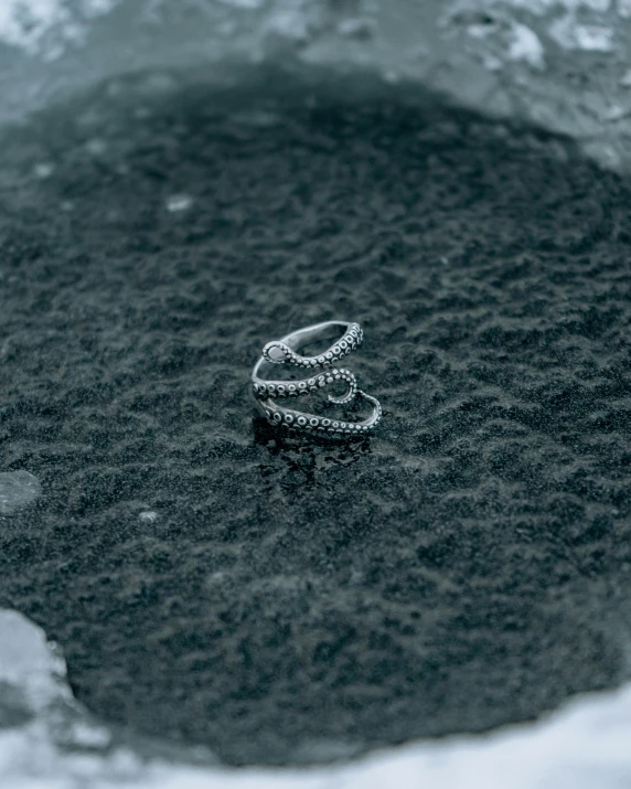 three bands sitting on top of a mound of snow