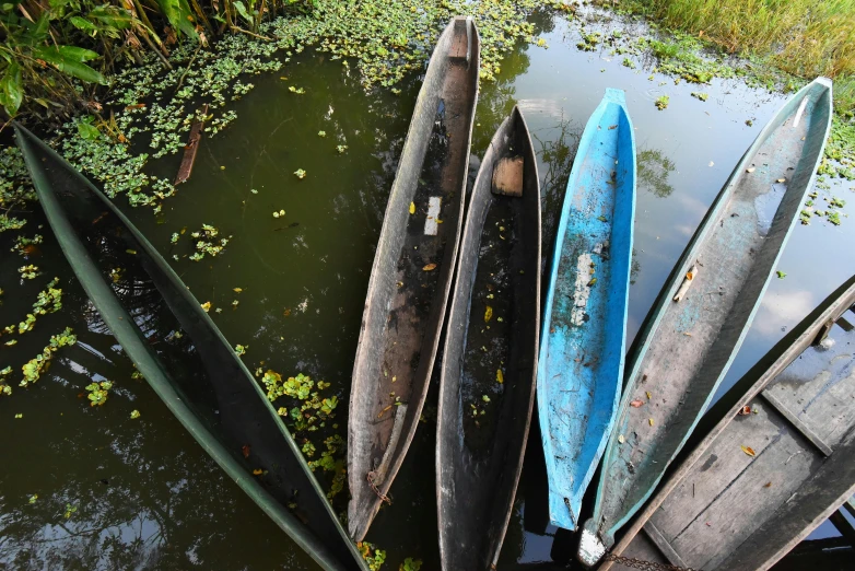 several rows of canoes resting next to the water