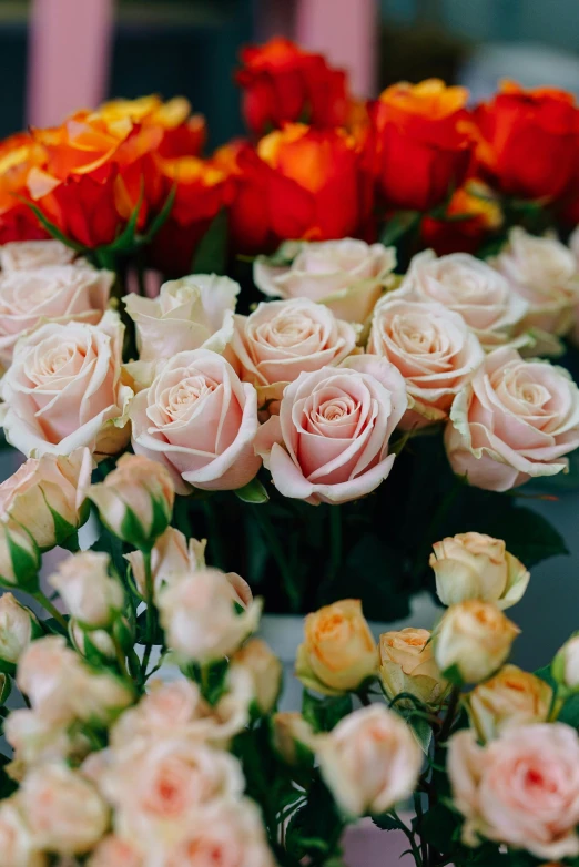 roses of different colors arranged in a circle