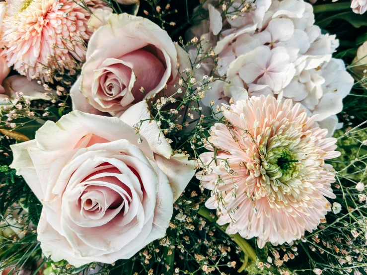 several large white and pink flowers in a vase