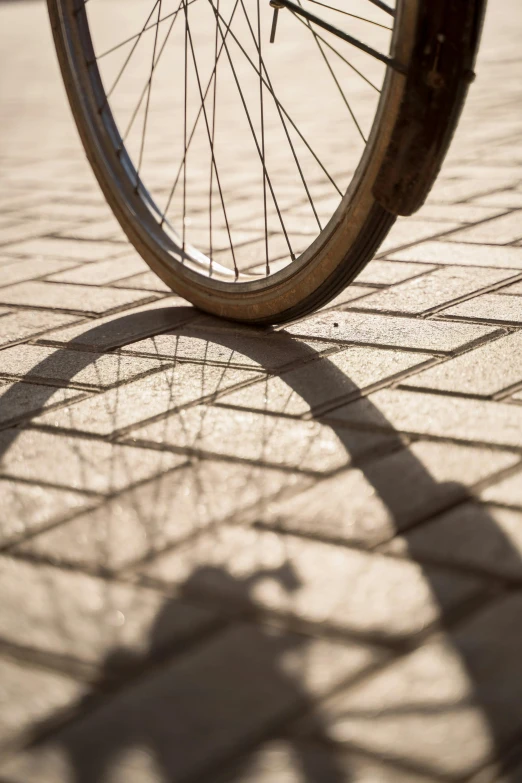 the shadow of a bicycle tire on the ground