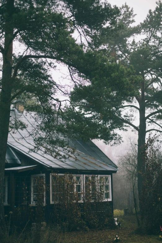 the house is made out of wood and has a roof with a flattening top