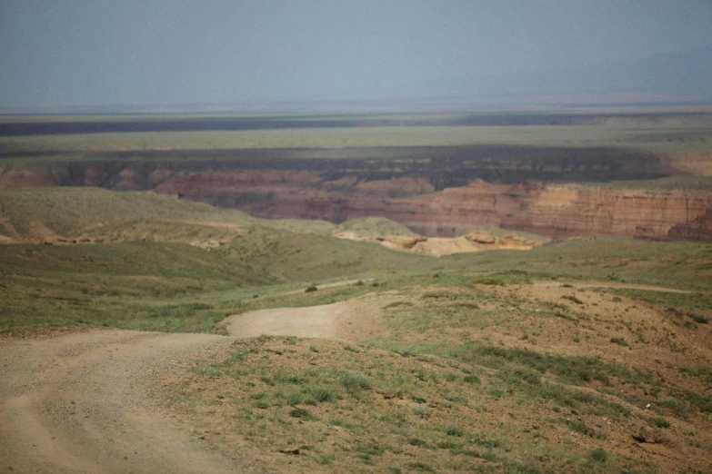 a cow standing on a gravel road in the distance