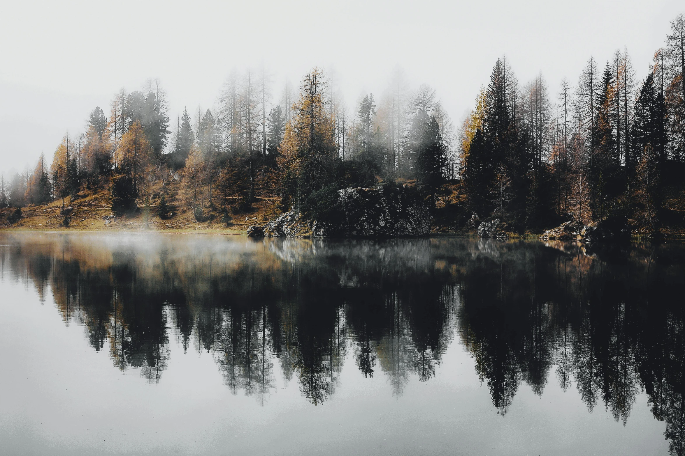 a lake in a forest on a foggy day