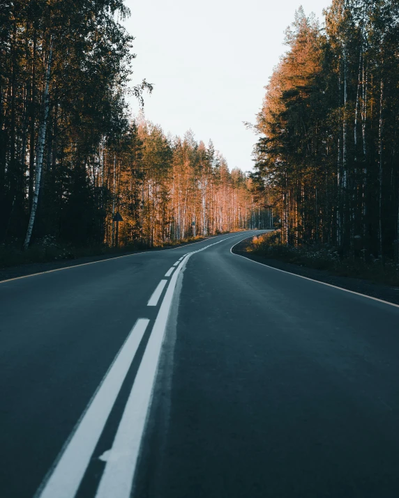 an empty road surrounded by trees and tall grass