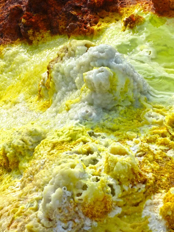 a closeup of the bright yellow, brown, and green substance