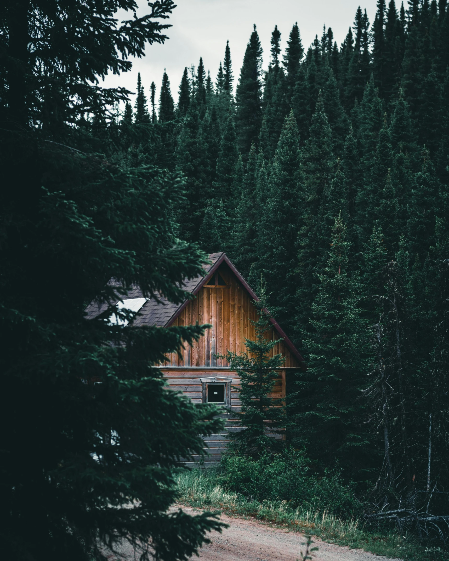 the woods are surrounding the cabin and it is dark