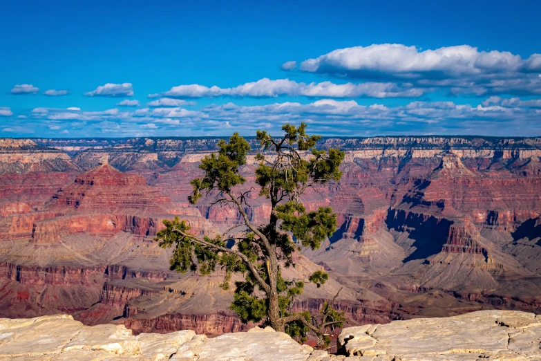 the view of the grand canyon from a cliff