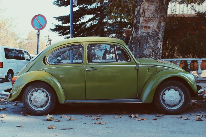 a green beetle parked next to a tree