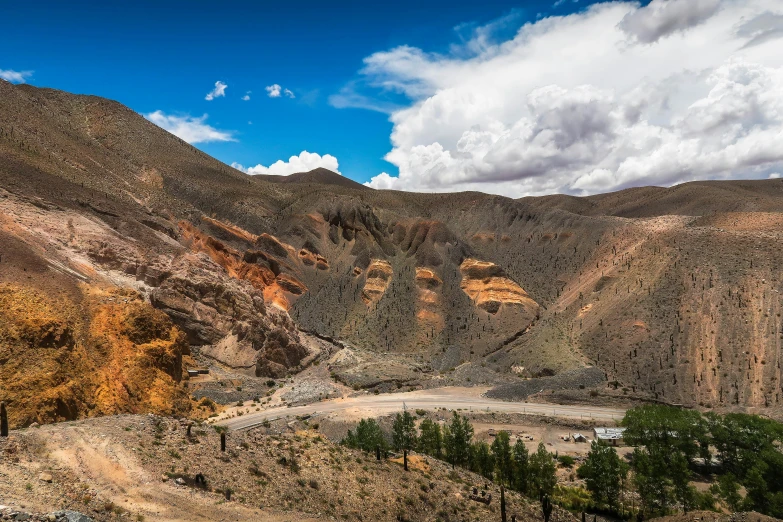 the landscape looks very dry, with trees in the foreground