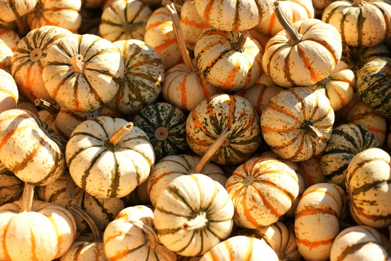 several pumpkins stacked up in a pile