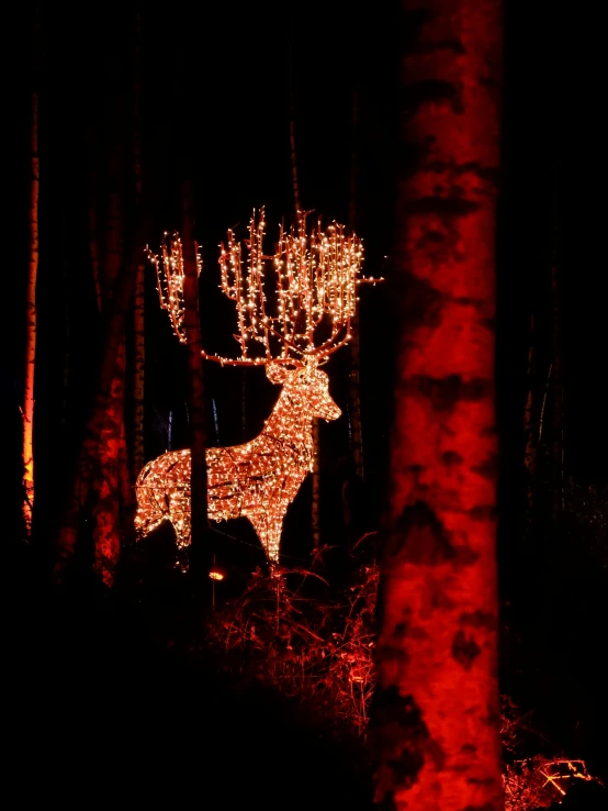 a reindeer with christmas lights standing next to a tree