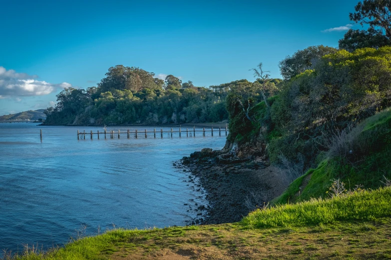 a big long body of water near some trees