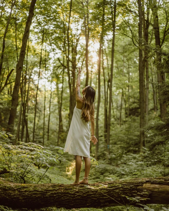 a girl standing on top of a tree nch in the forest